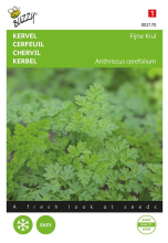 Buzzy seeds Buzzy® Kervel zaden   Fijne Krul