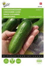 Buzzy seeds Buzzy® Komkommers Snack zaden   Iznik