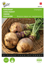 Buzzy seeds Buzzy® Koolraap zaden   Champion   Engelse Gele Roodkop