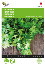 Buzzy seeds Buzzy® Koriander zaden   grootzadig