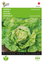 Buzzy seeds Buzzy® Kropsla zaden   Meikoningin