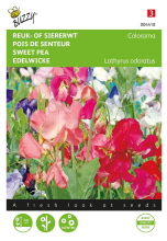 Buzzy seeds Buzzy® Reuk  of Siererwt zaden   Colorama   gemengd