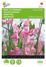 Buzzy seeds Buzzy® Reuk  of Siererwt zaden   Royal Family   roze