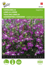 Buzzy seeds Buzzy® Hanglobelia zaden   Sapphire   blauw
