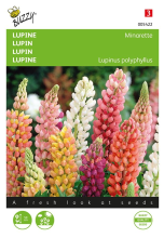 Buzzy seeds Buzzy® Lupine lage zaden   Minarette
