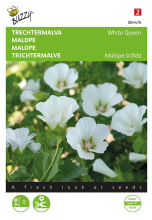 Buzzy seeds Buzzy   bloemzaden   Malope, Trechtermalva White Queen