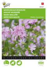 Buzzy seeds Buzzy® Muskus Kaasjeskruid zaden   roze