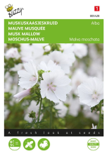 Buzzy seeds Buzzy® Muskus Kaasjeskruid zaden   Alba   wit