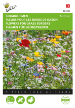 Buzzy seeds Buzzy bloemenweide   Bloemenmengsel voor grasranden
