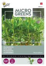 Buzzy seeds Buzzy® Microgreens   Peashoots zaden
