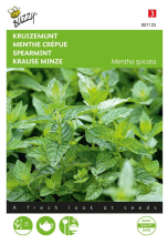 Buzzy seeds Buzzy® Kruizemunt zaden