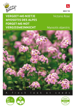 Buzzy seeds Buzzy® Vergeet me nietje zaden   Victoria Rose