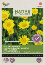 Buzzy seeds Buzzy   bloemzaden   Gele Ganzenbloem Chrysanthemum Segetum