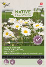 Buzzy seeds Buzzy   bloemzaden   Margriet Leucanthemum Vulgare
