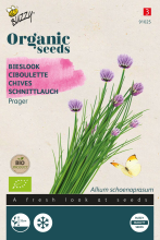 Buzzy seeds Buzzy® Bieslook zaden   Prager   Bio