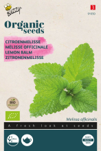 Buzzy seeds Buzzy® Citroenmelisse zaden   Bio