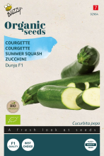 Buzzy seeds Buzzy Organic 'Dunja F1'   Biologische Courgettezaden