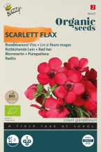 Buzzy seeds Buzzy   bloemzaden   Organic Linum Rubrum Grandiflorum