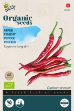 Buzzy seeds Buzzy® Bio Cayenne Peper zaden   long slim