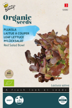 Buzzy seeds Buzzy® Bio Pluksla zaden   Red Salad Bowl