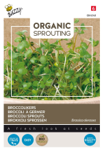 Buzzy seeds Buzzy® Bio Knip & Eet   Broccolikers zaden