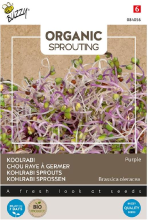 Buzzy seeds Buzzy Sprouting Koolrabizaden   rood