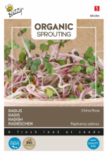 Buzzy seeds Buzzy Organic 'China Rose'   biologische Sprouting Radijszaden