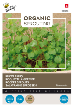 Buzzy seeds Buzzy® Bio Knip & Eet   Rucolakers zaden