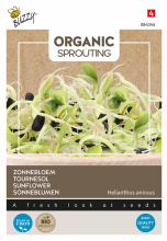 Buzzy seeds Buzzy   bloemzaden   Organic Sprouting biologische zonnebloemkers