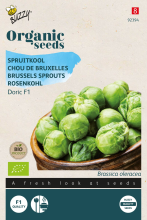 Buzzy seeds Buzzy Organic 'Doric F1'   Biologische Spruitkoolzaden
