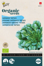 Buzzy seeds Buzzy® Bio Tatsoi zaden