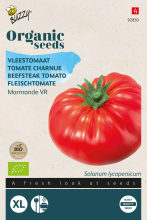 Buzzy seeds Buzzy® Bio Tomaat zaden   Marmande