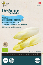 Buzzy seeds Buzzy® Bio Witlof zaden   Middelvroeg