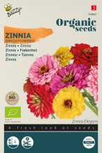 Buzzy seeds Buzzy   bloemzaden   Dubbele Dahliabloemige Zinnia Mix