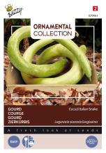Buzzy seeds Buzzy® Gourd zaden   Italian Edible Cucuzi