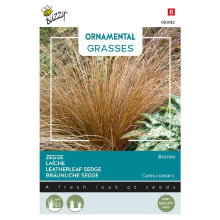 Buzzy seeds Buzzy   bloemzaden   Ornamental Grasses 'Carex comans Bronco'