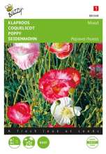 Buzzy seeds Buzzy® Klaproos zaden   Shirley   dubbelbloemig   gemengd