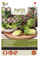 Buzzy seeds Buzzy® Terrasgroenten   Romeinse Mini sla zaden   gemengd