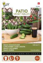 Buzzy seeds Buzzy® Terrasgroenten   Snackkomkommer zaden   Kalimero F1
