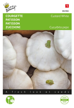 Buzzy seeds Buzzy® Patisson zaden   Custard White