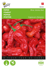 Buzzy seeds Buzzy® Peper zaden   Bhut Jolokia Red