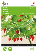 Buzzy seeds Buzzy® Peper zaden   Biquinho Amarela