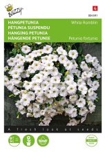 Buzzy seeds Buzzy   bloemzaden   Hangpetunia White Ramblin