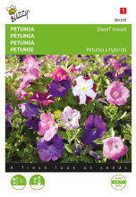 Buzzy seeds Buzzy® Petunia zaden   Laag   gemengd