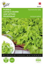 Buzzy seeds Buzzy® Pluksla zaden   Australische Gele
