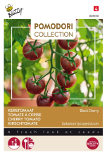 Buzzy seeds Buzzy® Tomaat zaden   Black Cherry