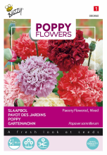 Buzzy seeds Buzzy® bloemzaden   Poppies of the World   Papaver