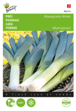 Buzzy seeds Buzzy® Prei zaden   Blauwgroene Winter