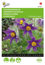 Buzzy seeds Buzzy® Wildemanskruid zaden