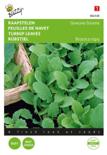 Buzzy seeds Buzzy® Raapstelen zaden   Groene